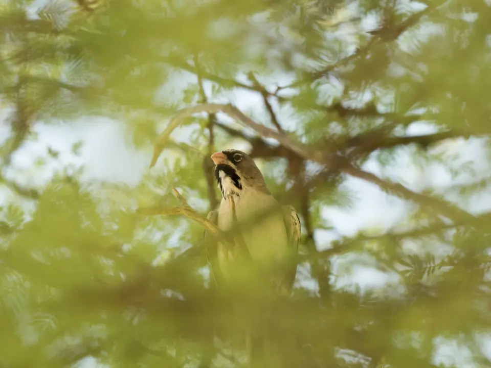 PB020139.jpg