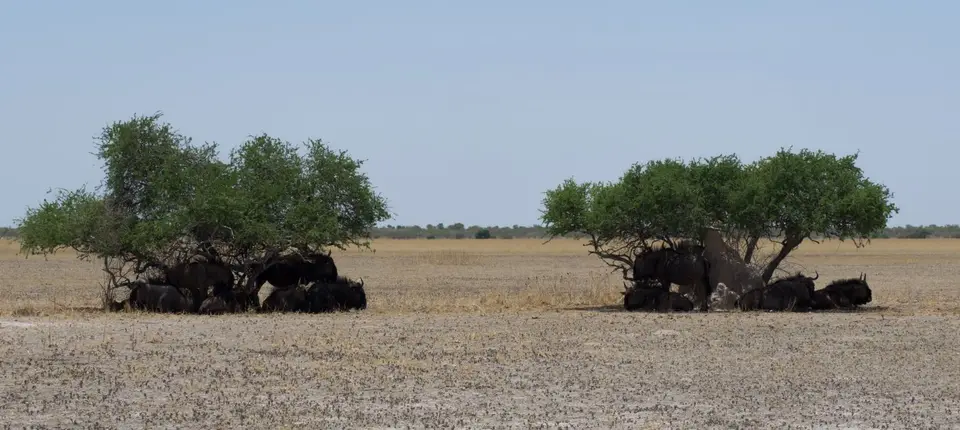 PB030213.jpg