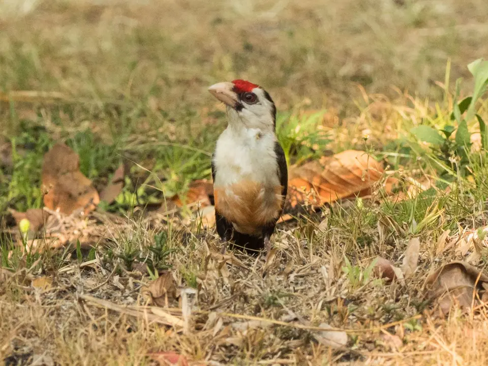 PB037259-391.jpg