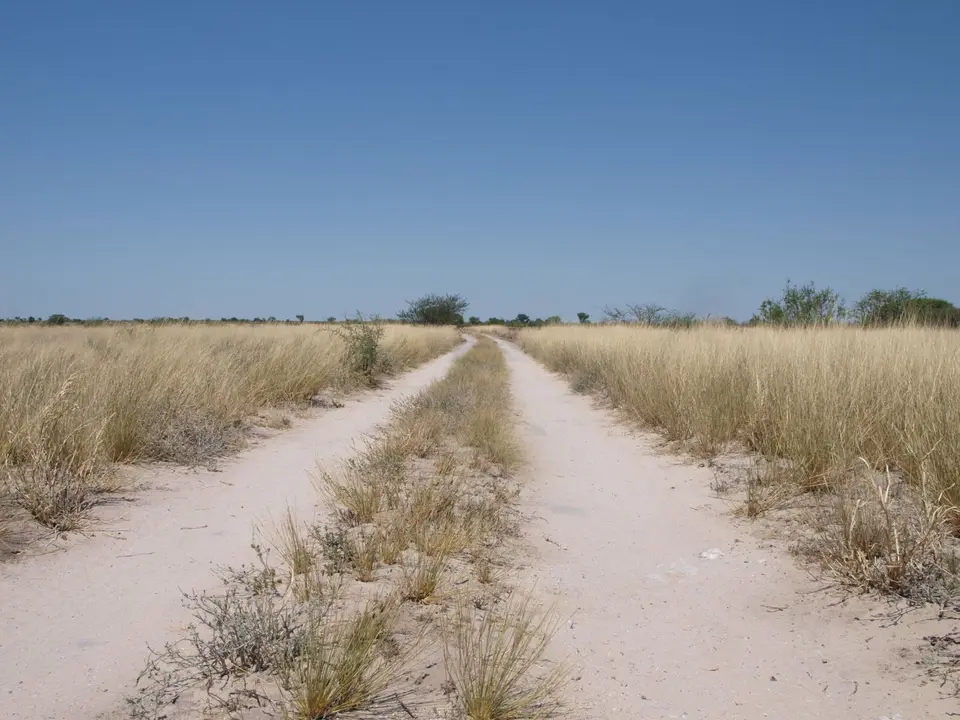PB050417.jpg