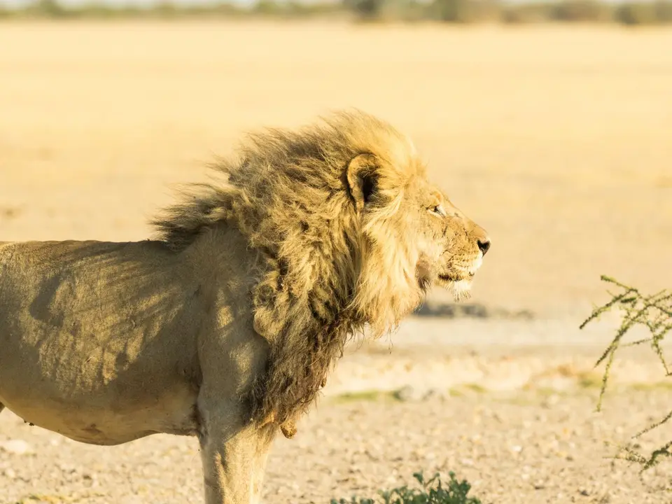 PB050476.jpg