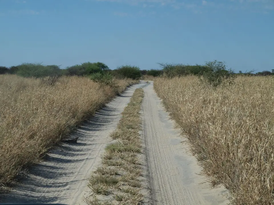 PB070449.jpg