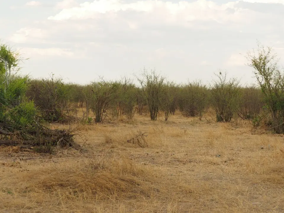 PB080701.JPG