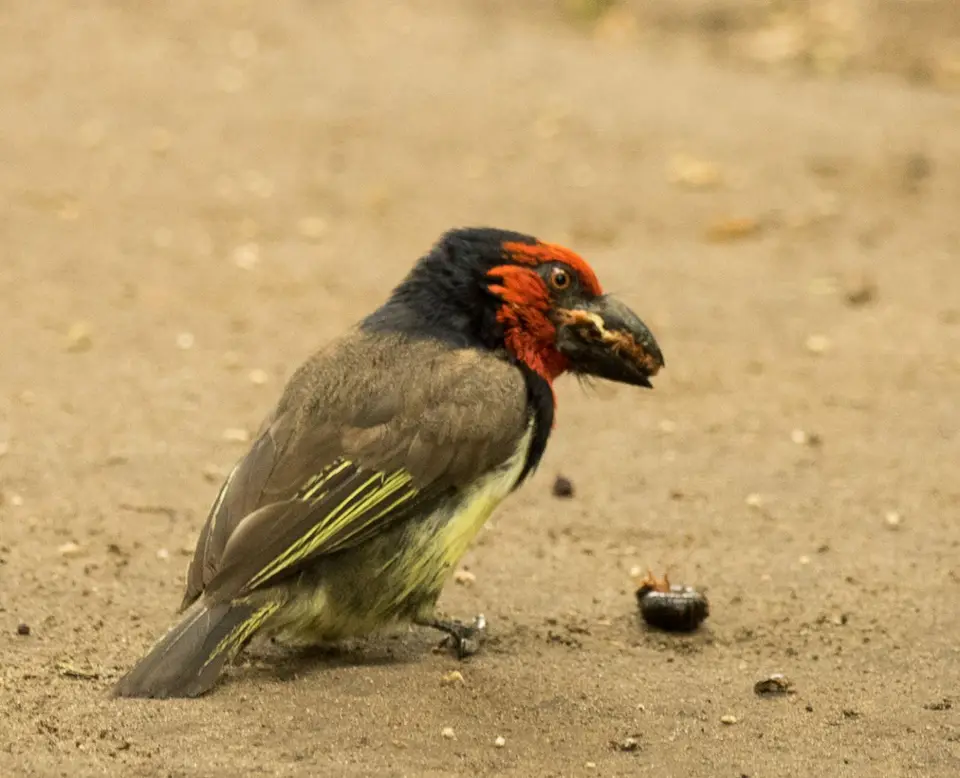 PB120921.jpg