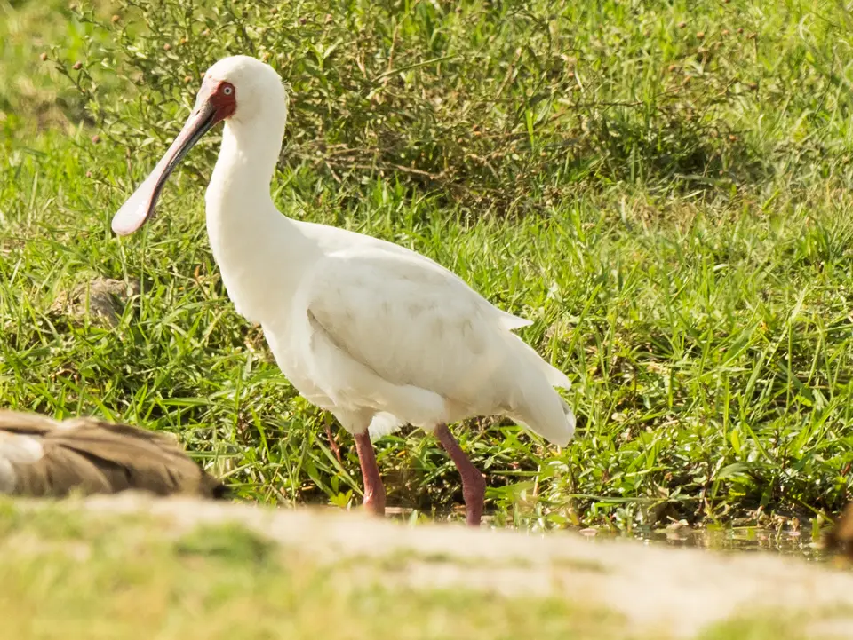 PB151139-2.jpg