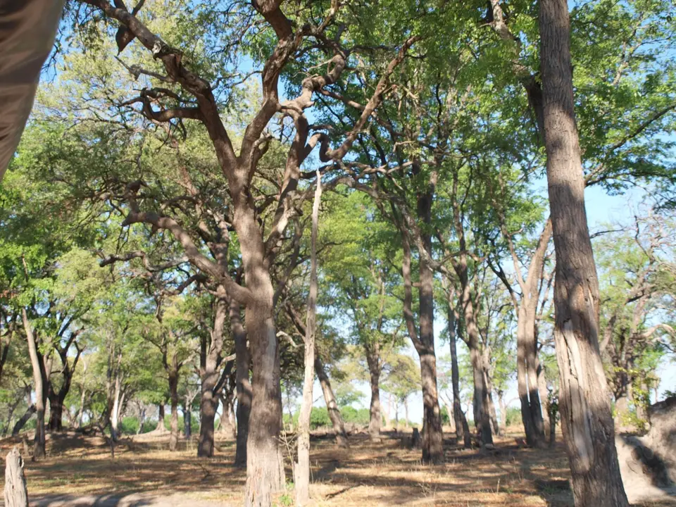 PB200697.JPG