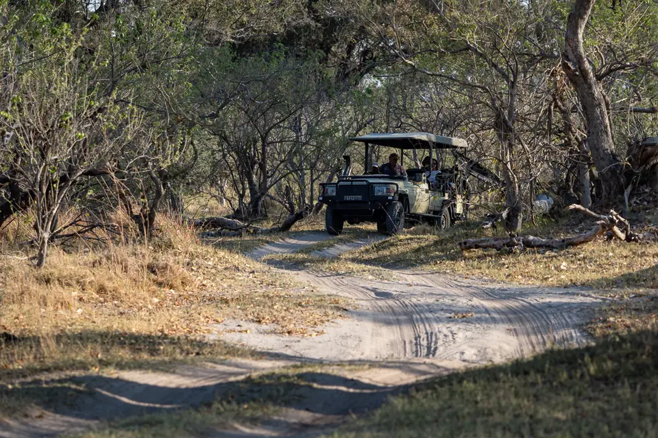 Botswana2019_0167_PB190791.jpg