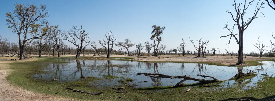 Botswana2019_0191_PB190817-Pano.jpg