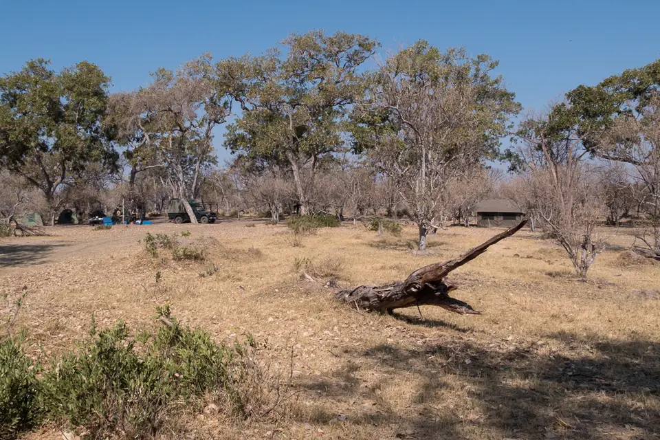 Botswana2019_0238_P1013862.jpg