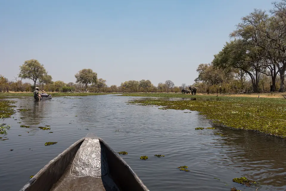 Botswana2019_0515_RX_00531.jpg