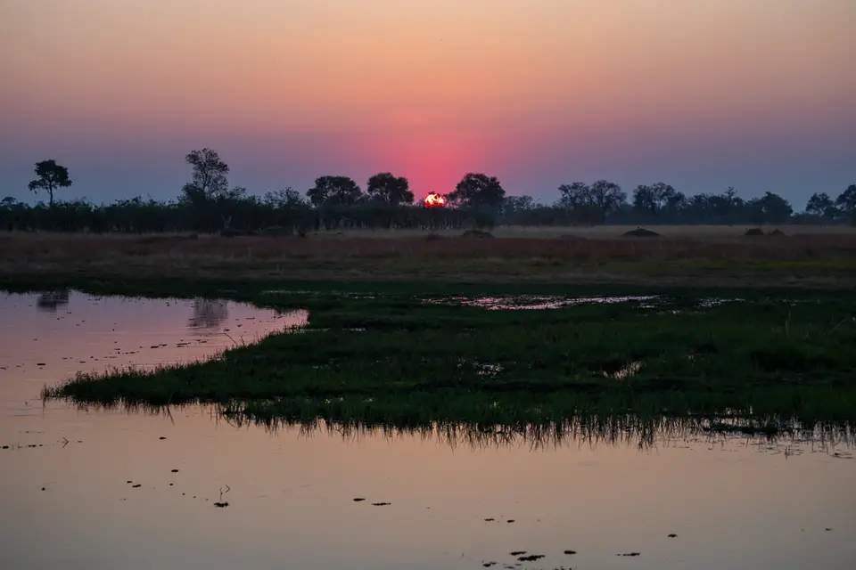 Botswana2019_0597_PB212787.jpg