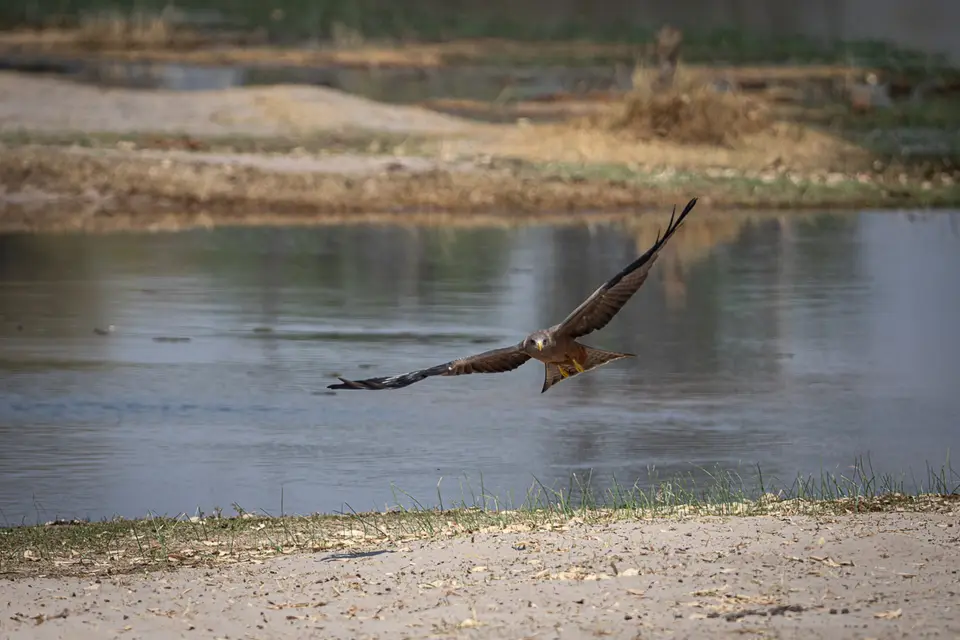 Botswana2019_0664_PA222262.jpg