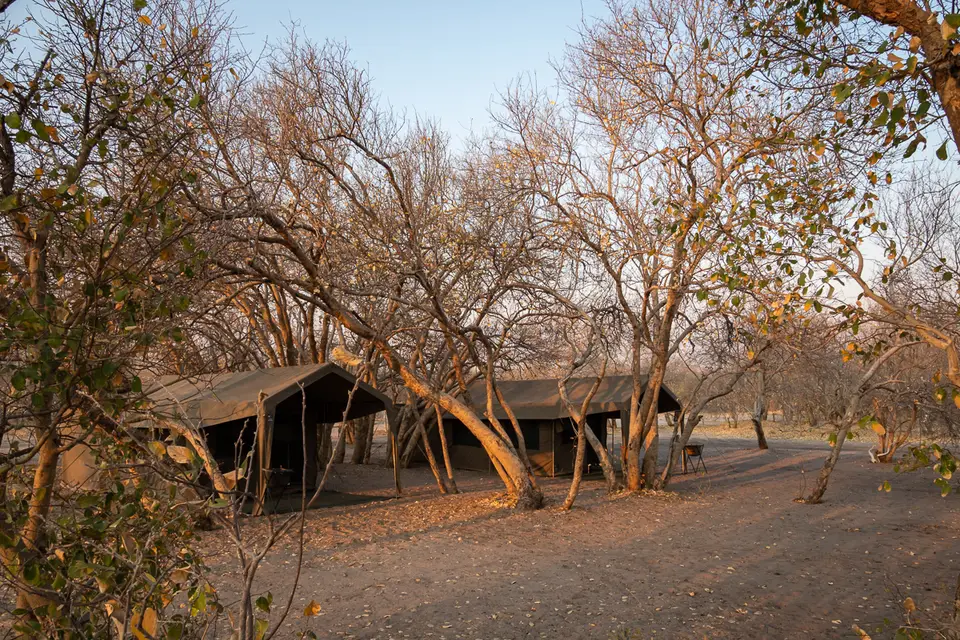 Botswana2019_0709_PA220417.jpg