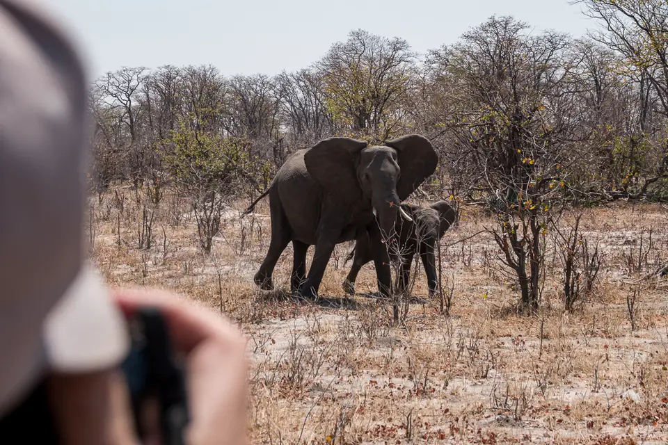 Botswana2019_1292_DSC01900.jpg