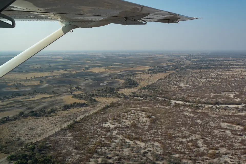 Botswana2019_1302_PA178782.jpg