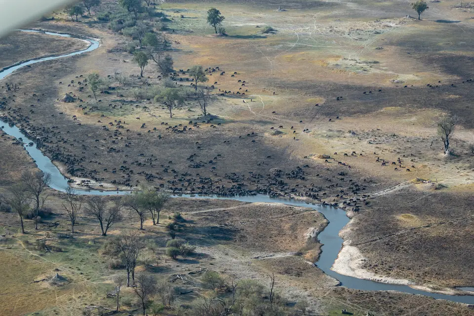 Botswana2019_1306_PB170380.jpg