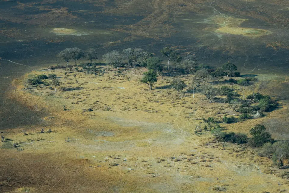 Botswana2019_1307_PA178787.jpg