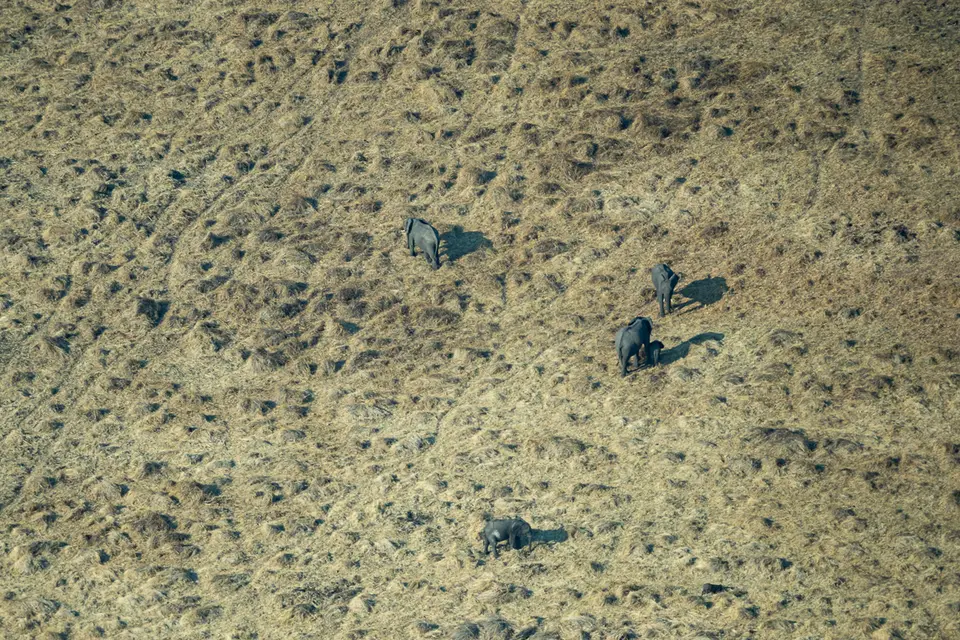 Botswana2019_1308_PB170396.jpg