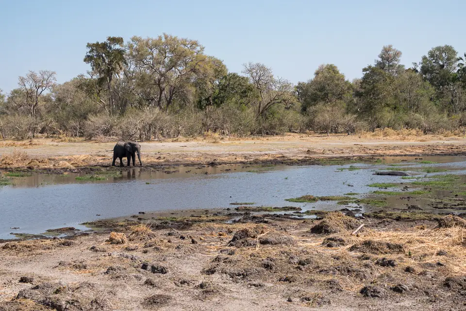 Botswana2019_1309_DSC01987.jpg