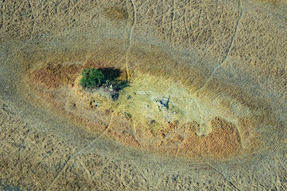 Botswana2019_1309_PB170399.jpg