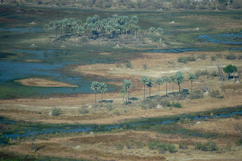 Botswana2019_1311_PB170407.jpg