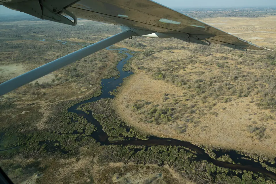Botswana2019_1312_PA178799.jpg