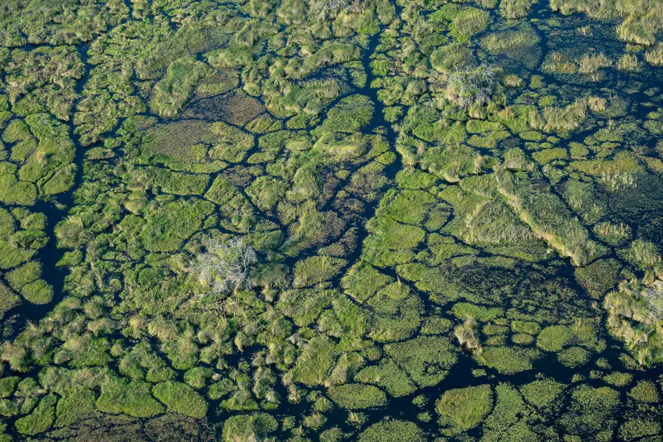 Botswana2019_1313_PB170437.jpg