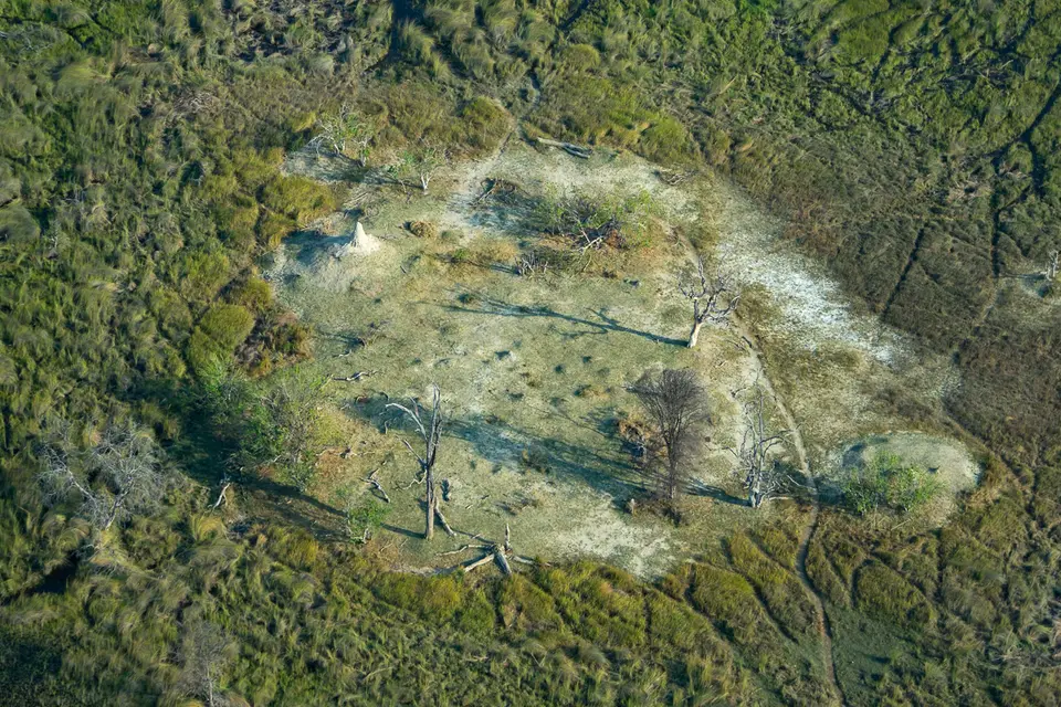 Botswana2019_1314_PB170444.jpg