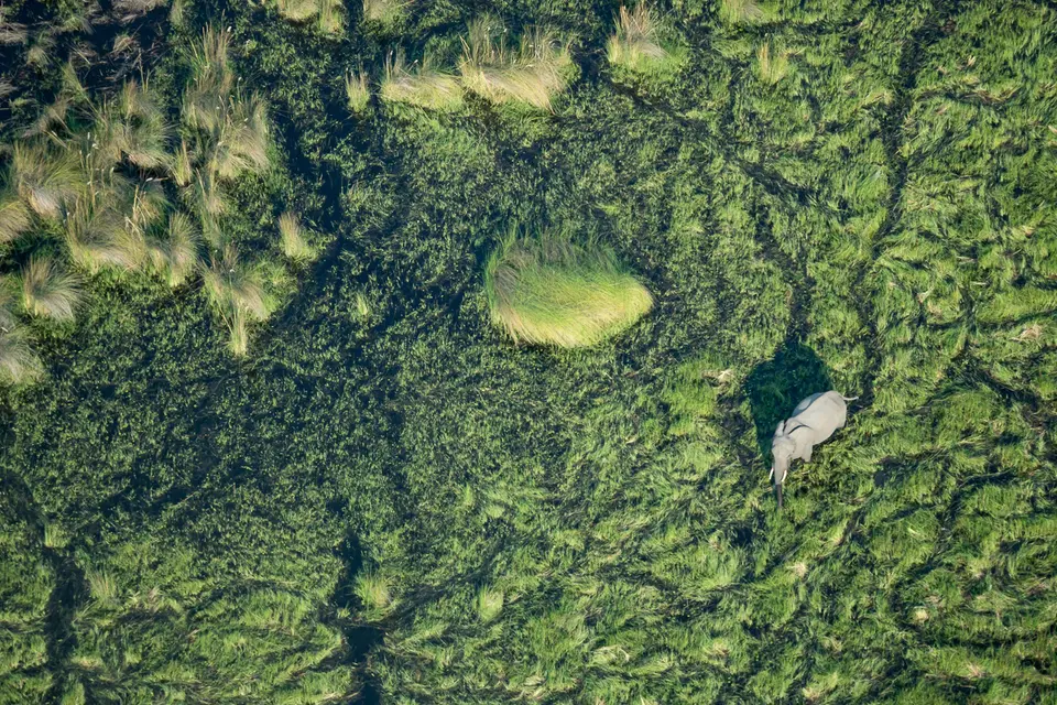 Botswana2019_1315_PB170462.jpg
