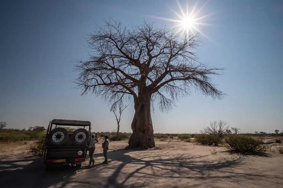 Botswana2019_1319_PB180625.jpg