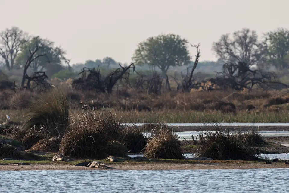 Botswana2019_1363_PA189123.jpg