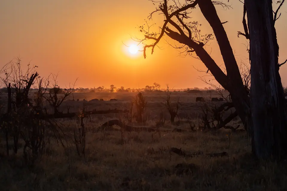 Botswana2019_1374_PB180752.jpg