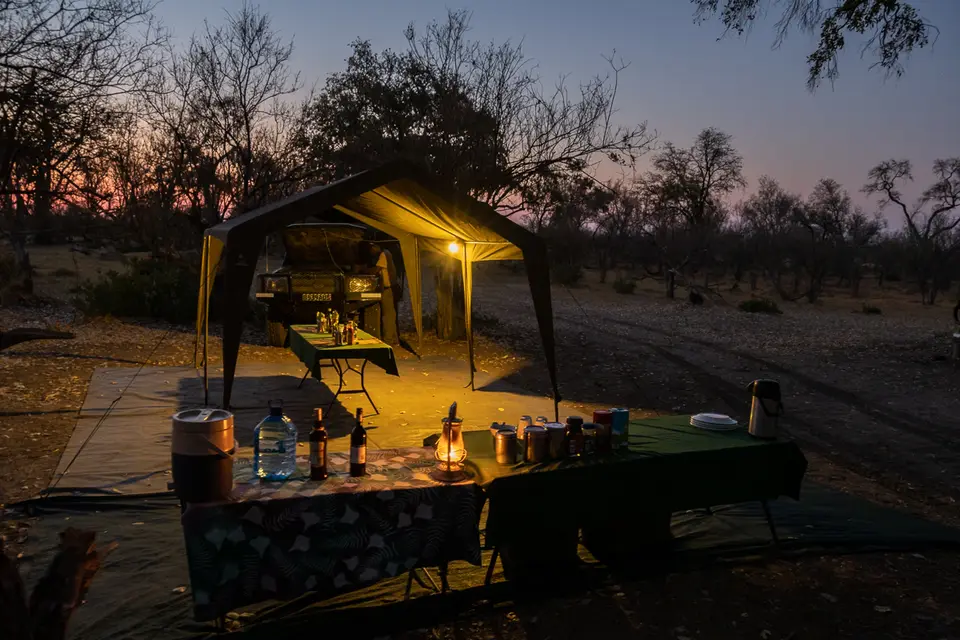 Botswana2019_1379_PB180764.jpg