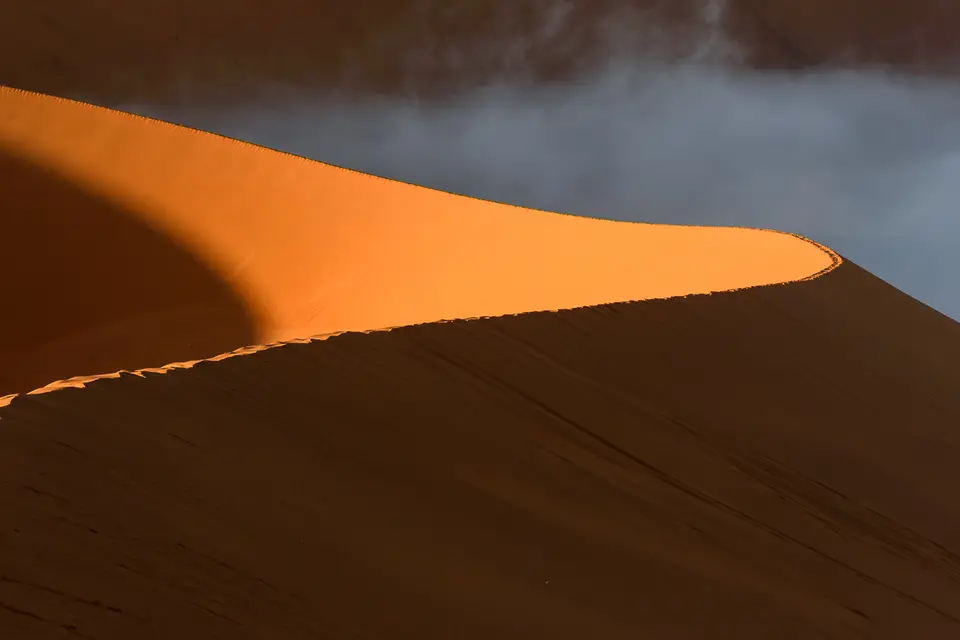D75_1051.jpg