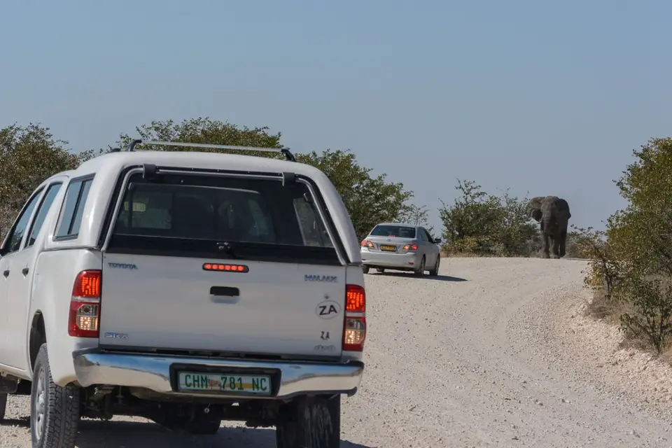 h65916d0.jpg