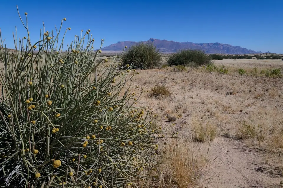 h6912345.jpg