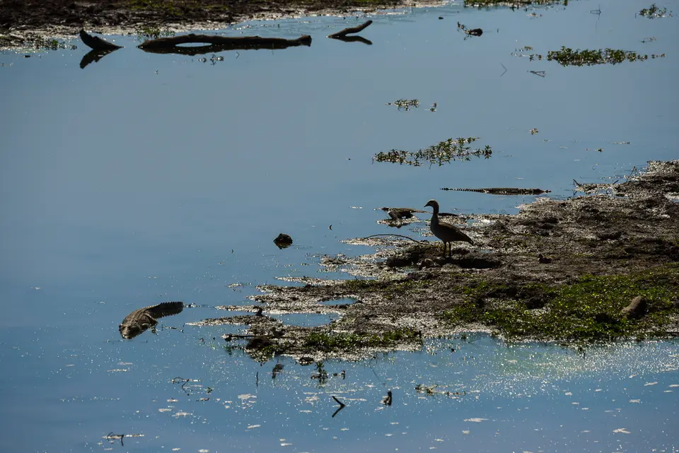 DSC_0163.jpg