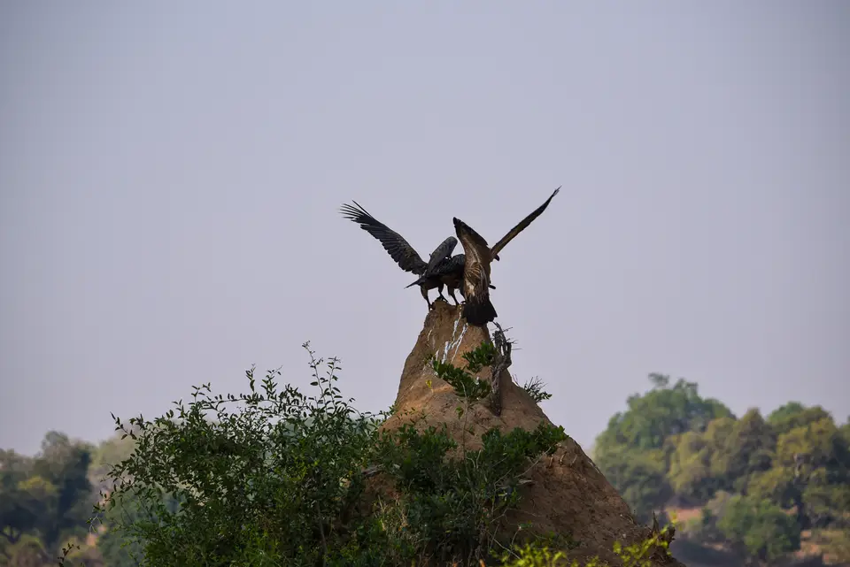 DSC_0277-2.jpg