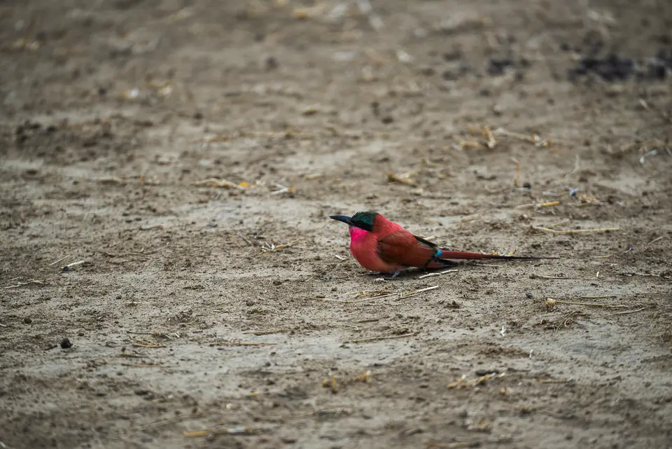 DSC_0419.jpg