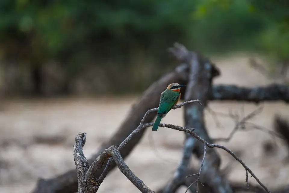 DSC_0567.jpg