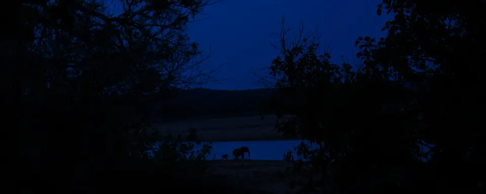 DSC_0576.jpg