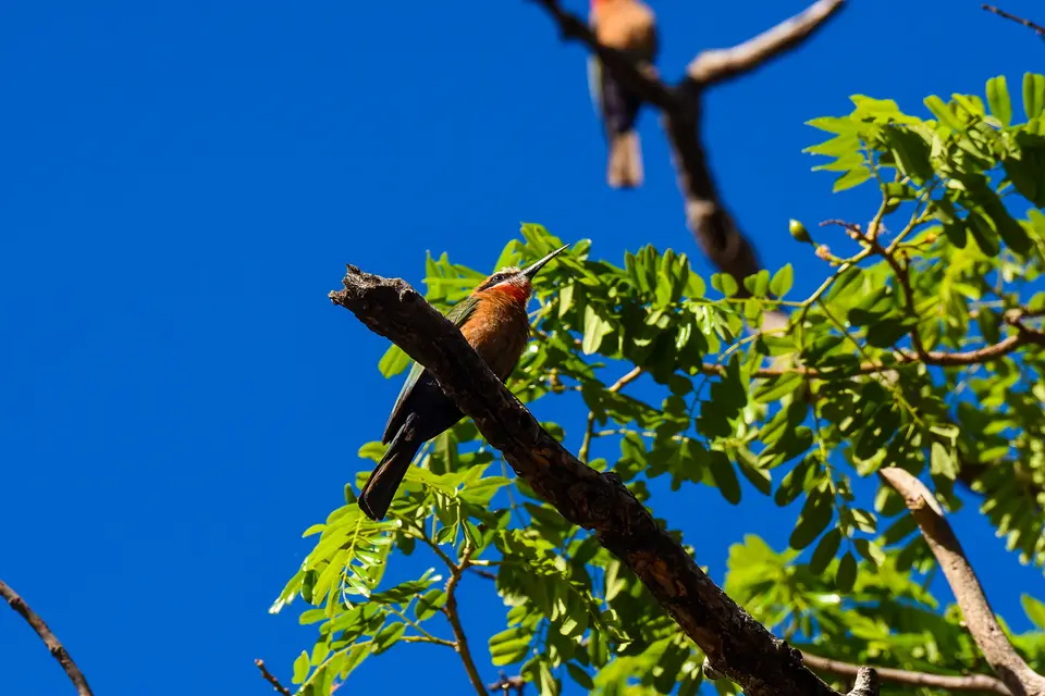 DSC_1014.jpg