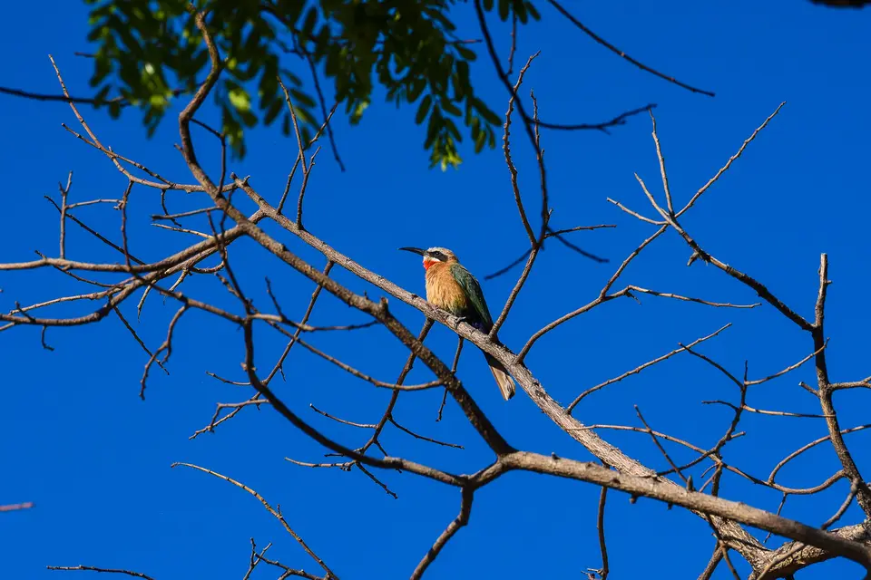 DSC_1021.jpg
