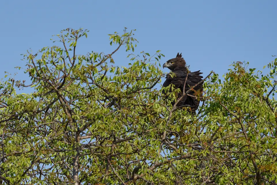 DSC_2182.jpg