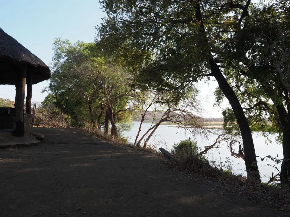 P1010456.JPG