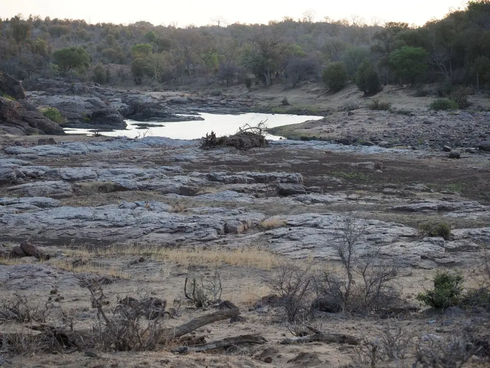 P1010490.JPG