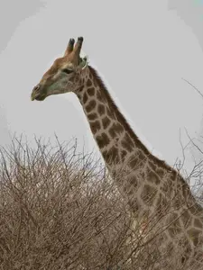 hac3b5fa.jpg
