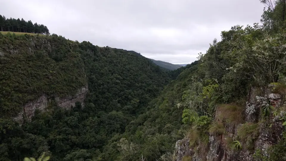 004.JPG
