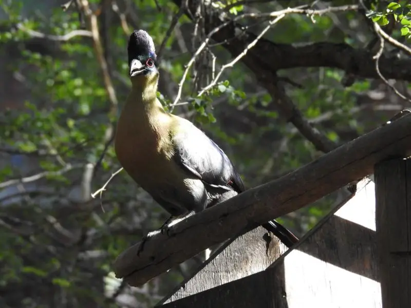 DSCN4195.JPG