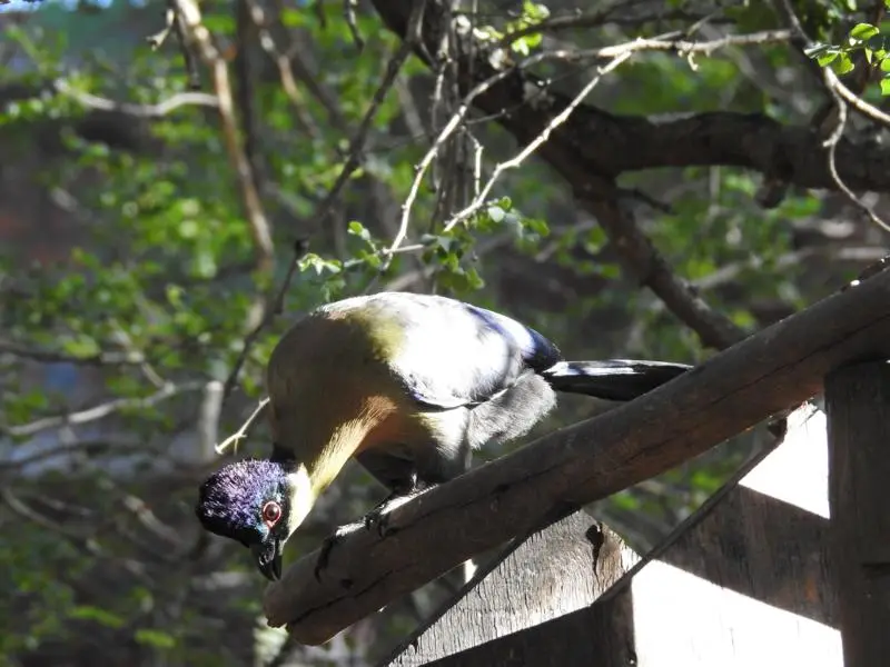 DSCN4196.JPG